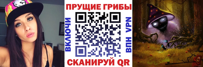 купить наркотики сайты  Набережные Челны  Псилоцибиновые грибы Cubensis 